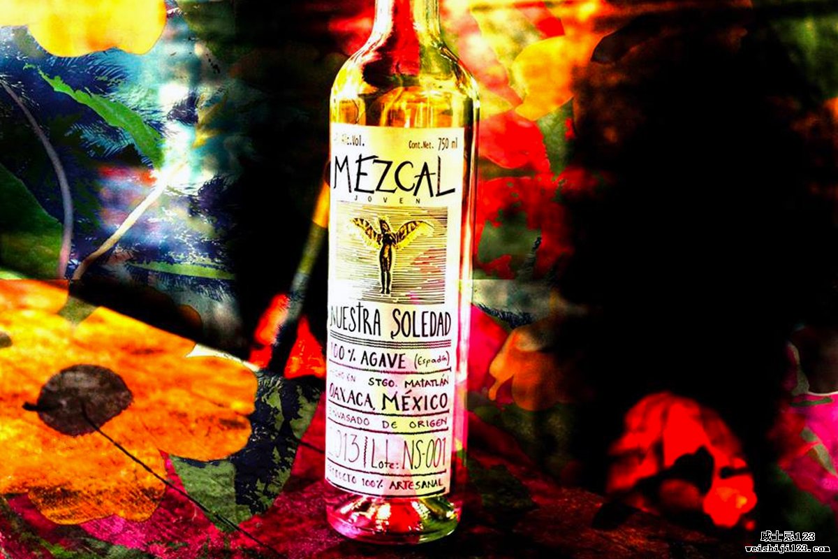 苏格兰威士忌的烈酒：Mezcal Joven Nuestra Soledad